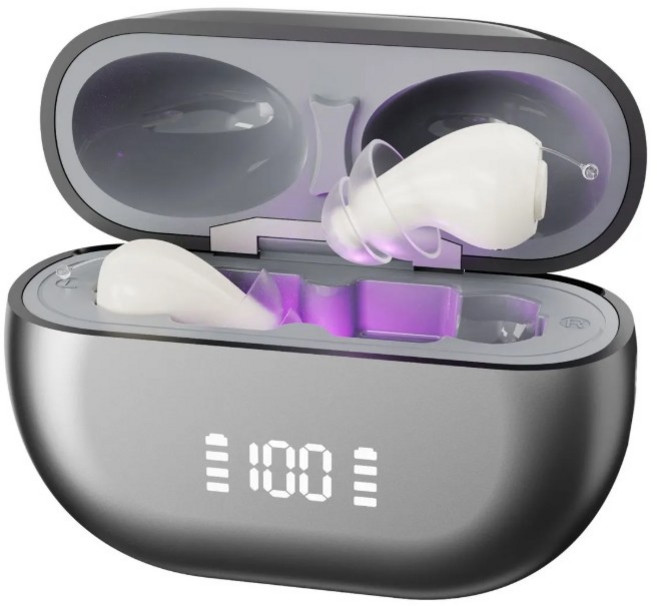 [웰톤] 32채널 고성능 소리 증폭기 귓속형 음성 증폭 최고급형 GM-955, 1개, 웰톤5 GM-955