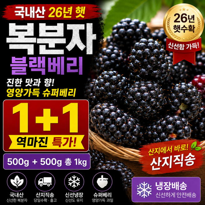 [1+1한정초특가!] 26년햇 냉동 블랙베리 복분자, 1박스, 1kg 특품 (트레이포장)