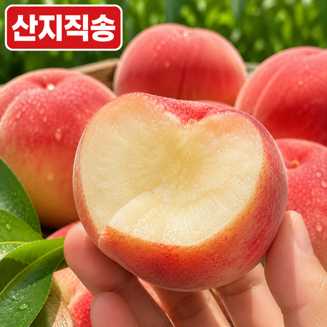 [재구매1위] 50박스한정 당도선별 딱딱이 복숭아, 1박스, 2kg