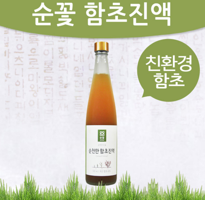 순꽃 순천만 함초진액 유기농함초 숙성 엑기스, 2개, 500ml
