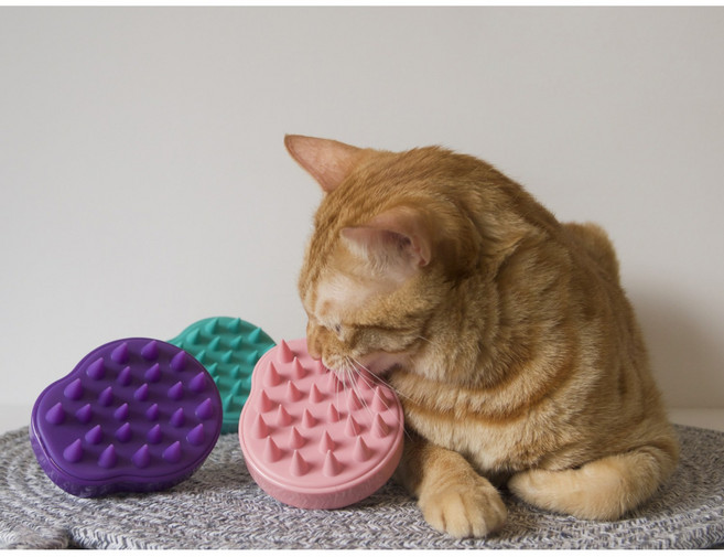 아리코 고양이&강아지 샴푸 목욕 브러시 9.5 x 8 x 7.3cm, 핑크, 2개