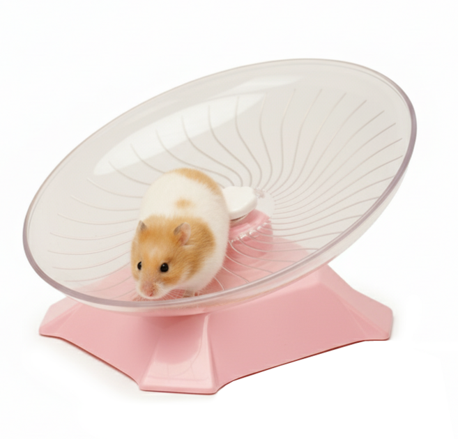 햄스터 지름 24cm 대형 소저 쳇바퀴 장난감, 1개, 핑크