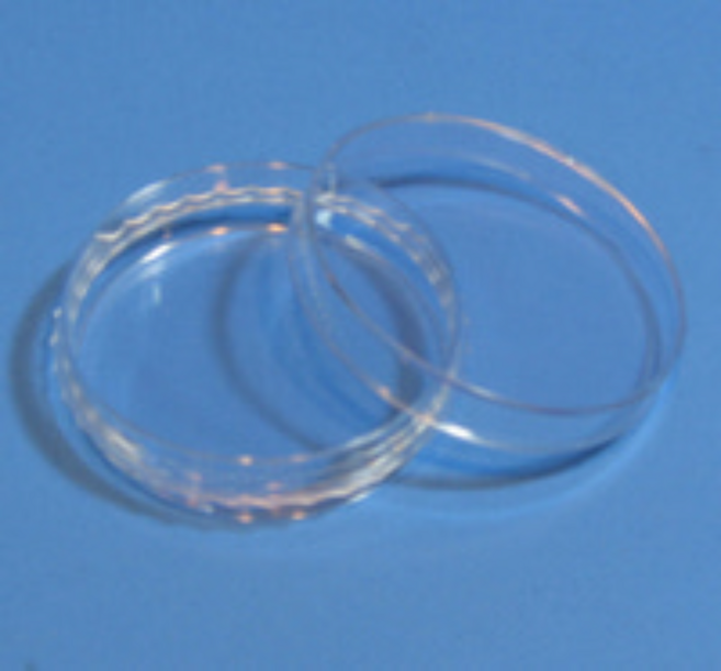 (사이언스마켓)페트리디쉬 100mmx15mm, 60m／m*15m／m