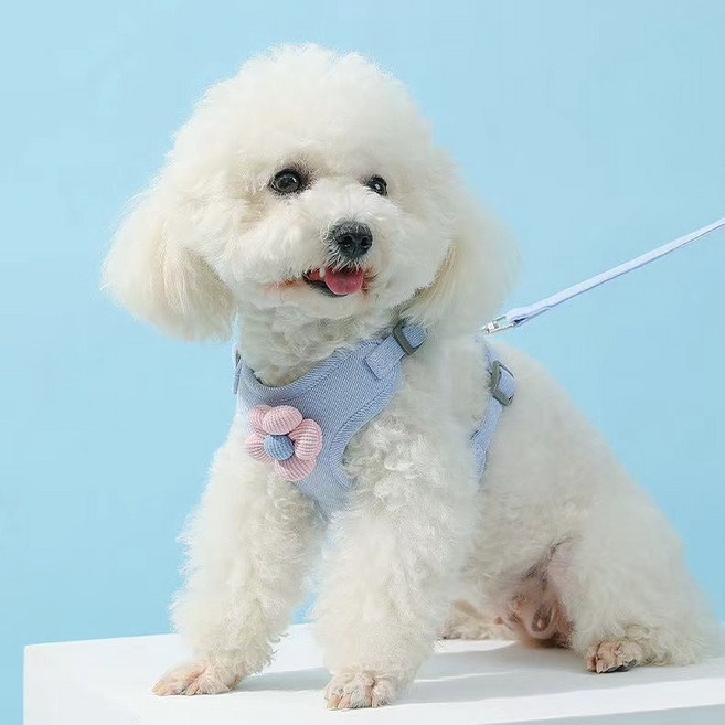 산책용 가벼운 강아지 하네스 숨쉬는 하네스, 레드, 1개