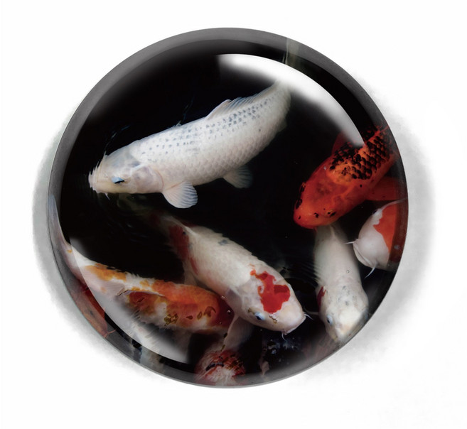 르웨이 크리스탈 유리 반구 사각 오브제 문진 15종, 비단잉어