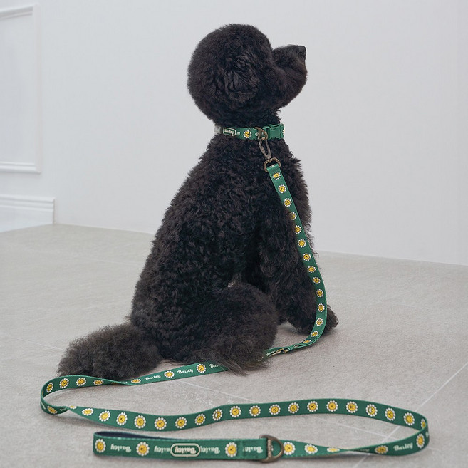 베일리펫 강아지 산책 소형견 중형견 데이지 워키 리드줄, 1개, 그린