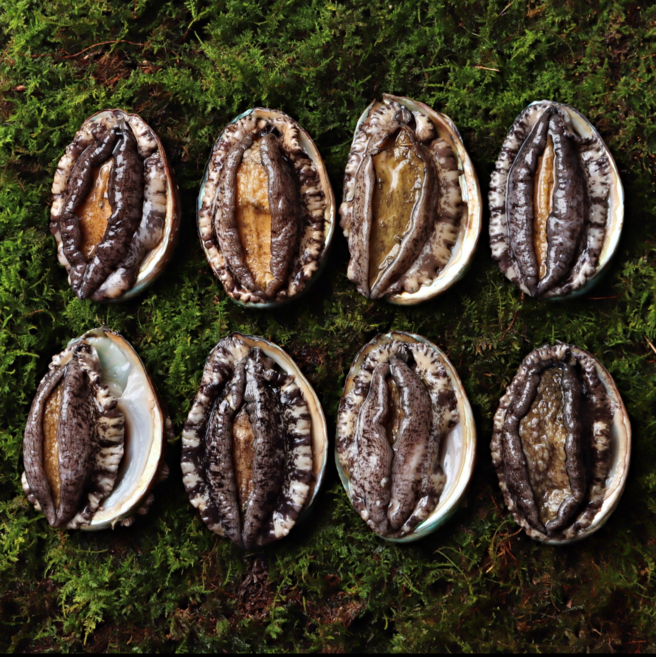 완도수산 청해전복 직거래 특대전복 1kg 싱싱 팔팔 고급선물세트, 1개