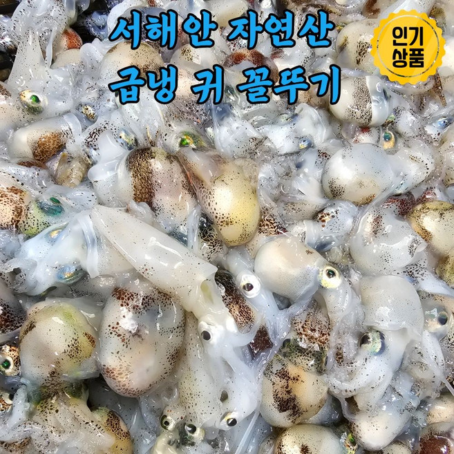국내산 제철 귀오징어 귀꼴뚜기, 1개, 500g