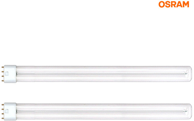 오스람 둘룩스 L램프 36W, 주광색, 2개