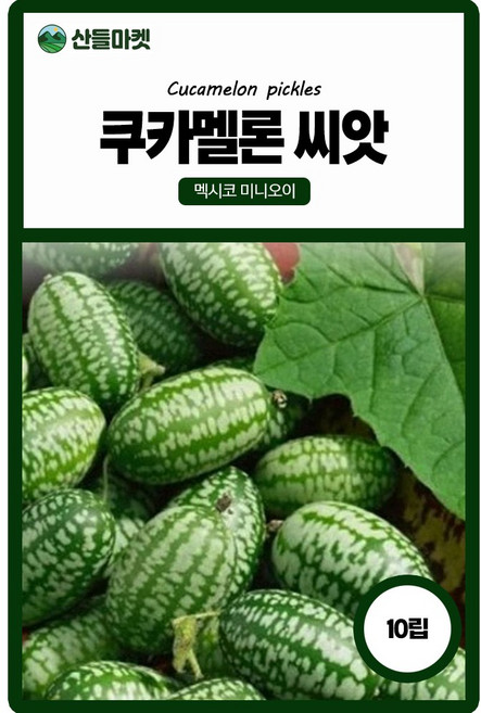 산들마켓 쿠카멜론 오이씨앗 10립 수박처럼 생긴 멕시코의 미니 오이씨 종자, 3개