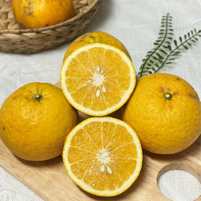 [산지직송] 청정 제주 하귤 나스미깡 아마나스, 1박스, 하귤 3kg (사이즈 혼합)