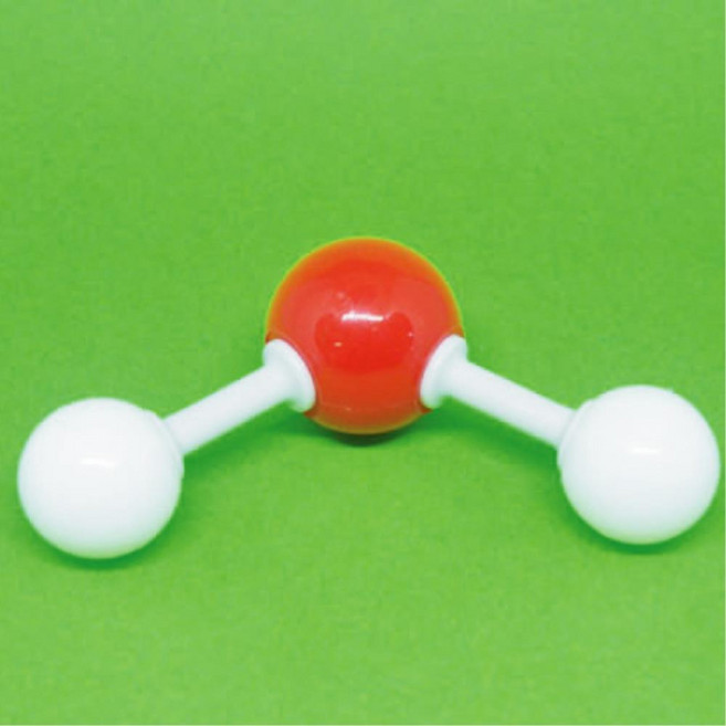 입체모형 중등과학 물분자구조 모형 H2O 산소 교육기관 과학체험