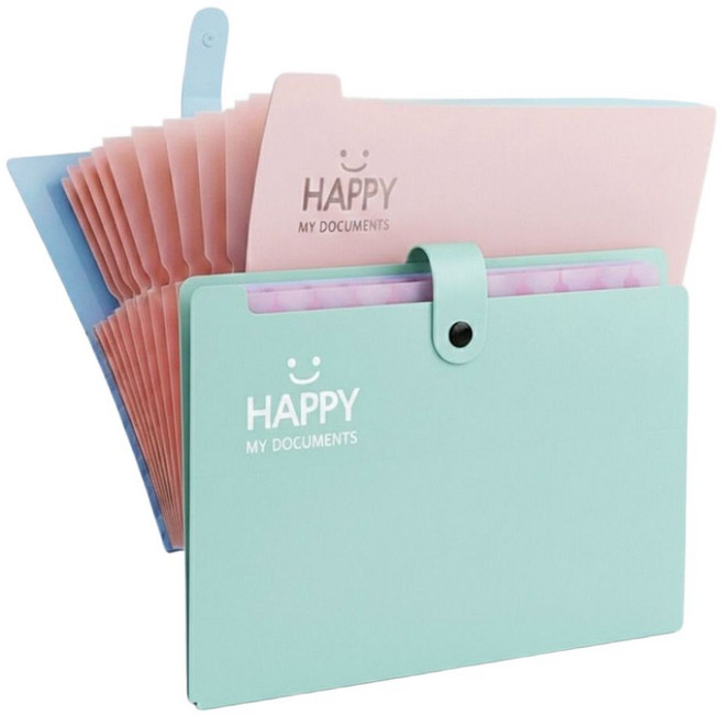 배로나 편리한 똑딱이 파일케이스 수납력 12칸, 2개, 민트핑크