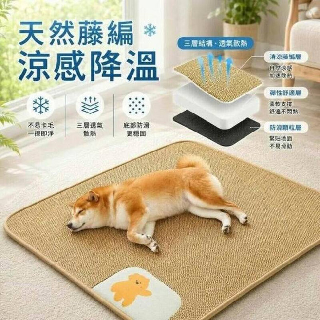 寵物墊子寵物涼墊寵物涼席墊夏季寵物墊子寵物睡床防抓貓咪睡墊清涼透氣降溫狗墊子防水藤席窩透氣舒適涼爽不悶防滑設計可愛印花, M, 發財柿(加厚款)