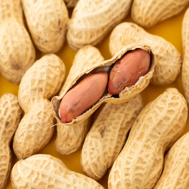 일등농수산 국내산 특품 경북 예천 햇 땅콩, 1개, 2kg