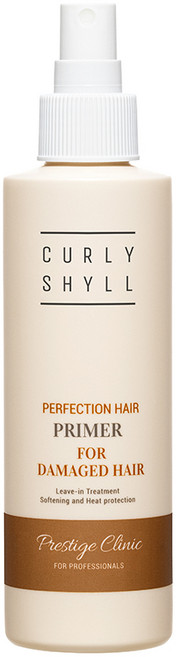 [공식판매처] 커리쉴 퍼펙션 헤어 프라이머, 1개, 200ml