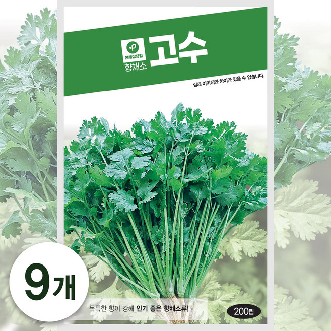 온세상 고수 200립, 9개