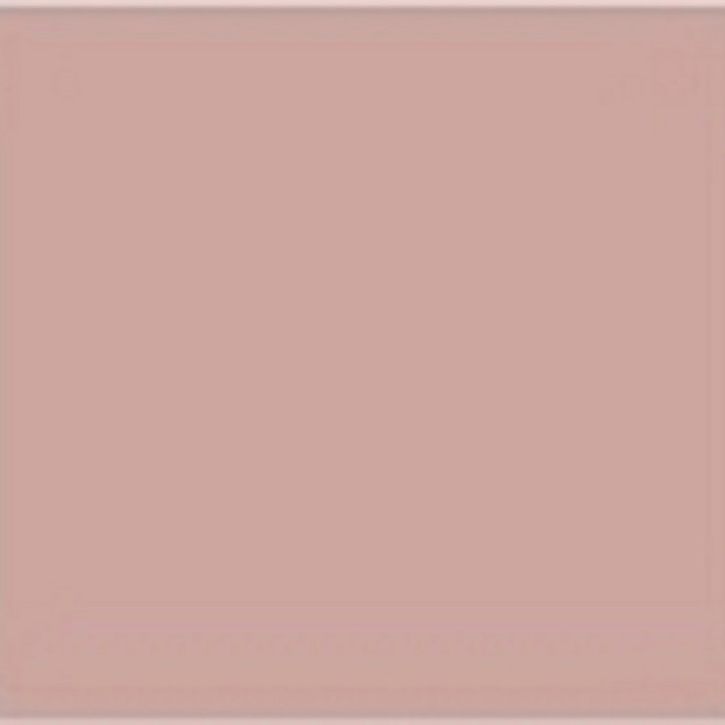 팬톤페인트 멀티용 반광 4L 친환경프리미엄수성페인트, 15-1512, 1개