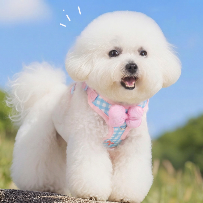 소형견 통기성 하네스 목줄 세트 방풀벙 방지 야외산책용, 1개, 푸른색