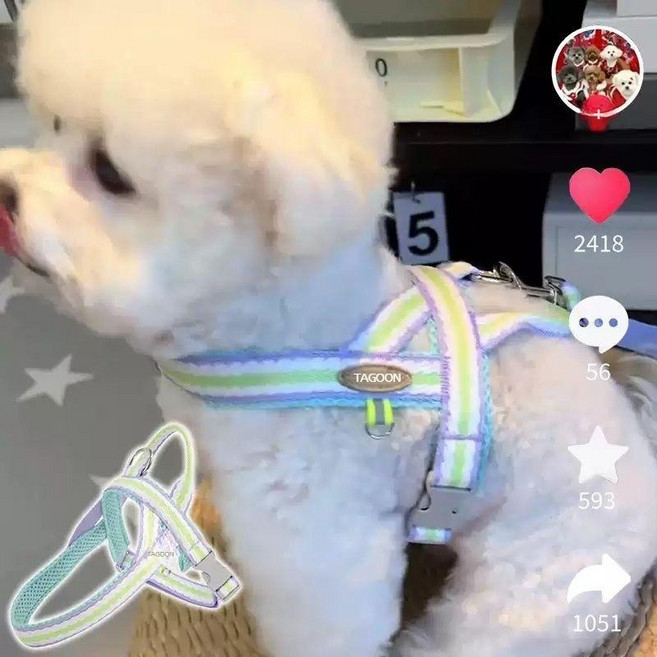 인터넷 셀럽 강아지 견인 로프 중소형견 비숑 조끼 스타일 강아지 산책 로프 테디 시바견 반려동물 가슴 하네스 통기성, 1개, 윈린핑크 3m 수납식