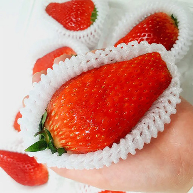 논산킹스베리딸기 설향 생딸기 달콤한 과즙 팡팡 대왕특, 1개, 논산 생 딸기 설향 700g (40-42과) 한입과