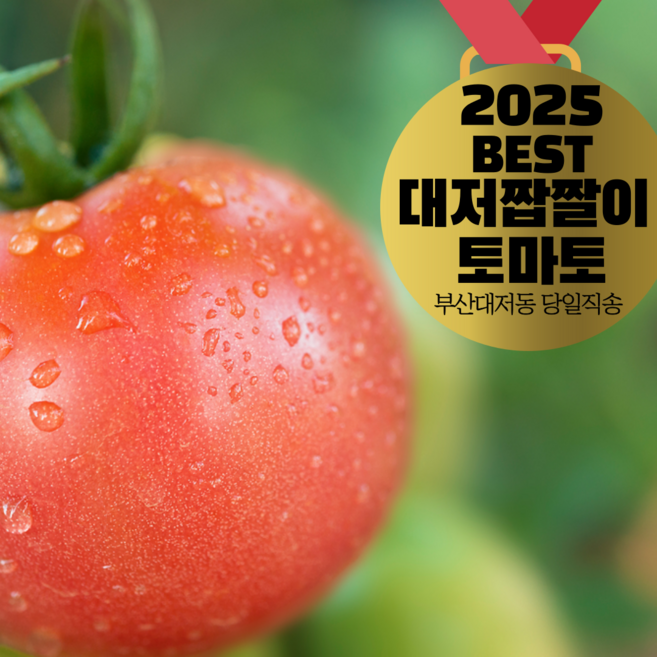 [30년째농사 부산 대저동 산지직송] 대저 짭짤이 토마토 S~2S 1키로 2.5키로 대저토마토 M L 2.5키로, 1박스, 대저토마토(L) 2.5키로