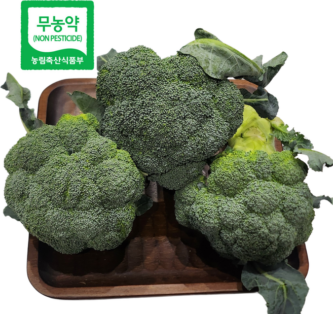 [한국유기팜] 국내산 제주 친환경 무농약 브로콜리, 300g, 5개