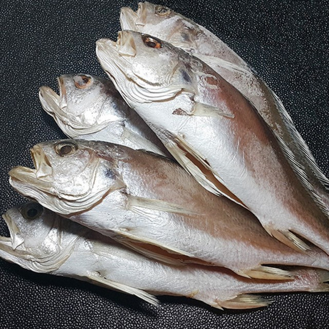 국내 반건조 생선 침조기 긴가이석태 반찬용 (5마리), (특대) 31cm 내외 190g~210g 내외, 1개