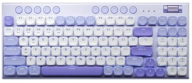 THUNDEROBOT K96 무선 기계식 키보드 로우 프로파일 생산성 롤러 마르코 키가 있는 98 PC용 PBT, 01 Red axis, 02 WATER WISTERIA