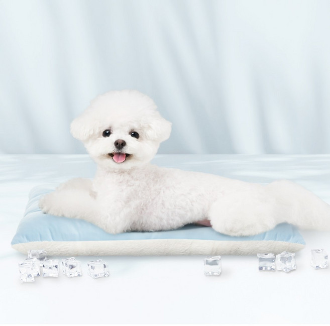 멍뭉스 극세사 강아지 쿠션 구름 방석 사계절용, 쿨 블루, 1개