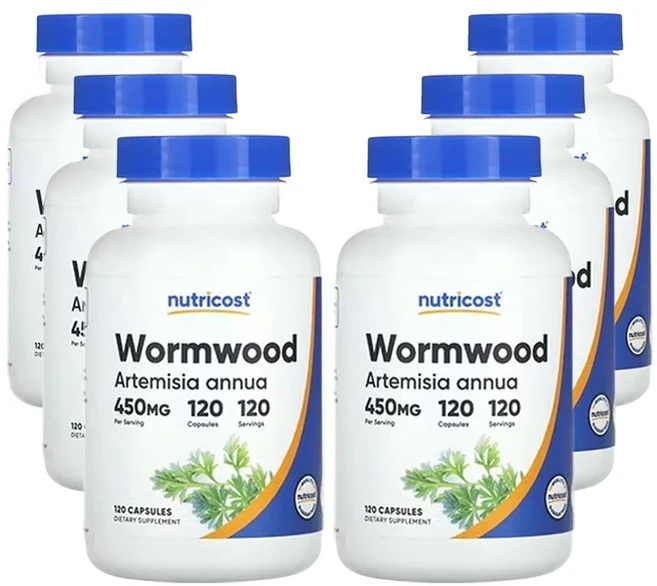 뉴트리코스트 쑥 450mg, 120정, 6팩 - 쿠팡