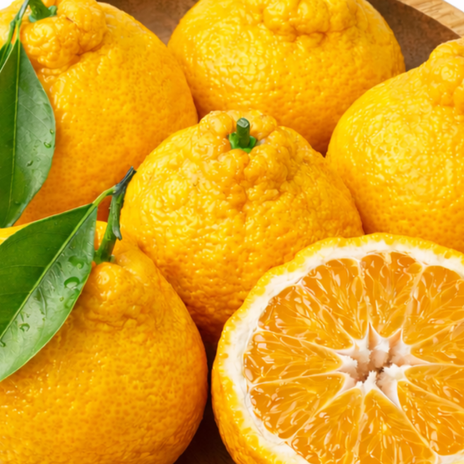 오늘특가 산지직송 고당도 14brix 한라봉, 1박스, 3kg