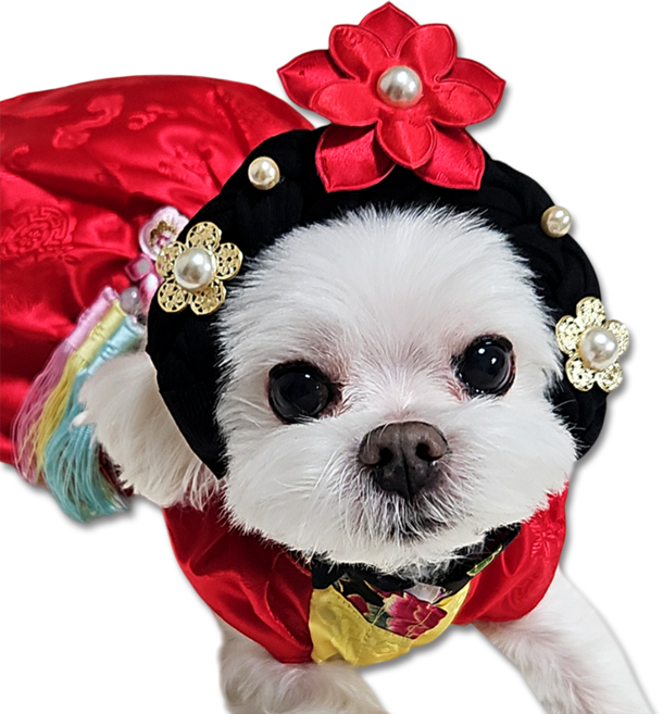 멍멍이룩 강아지가채 강아지한복, 레드, 1개