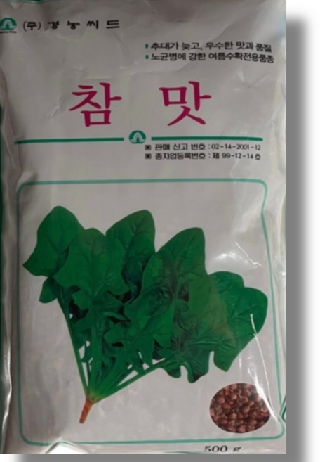 남해 일본시금치 씨앗 종자 참맛시금치 500g 고당도 대용량, 1개