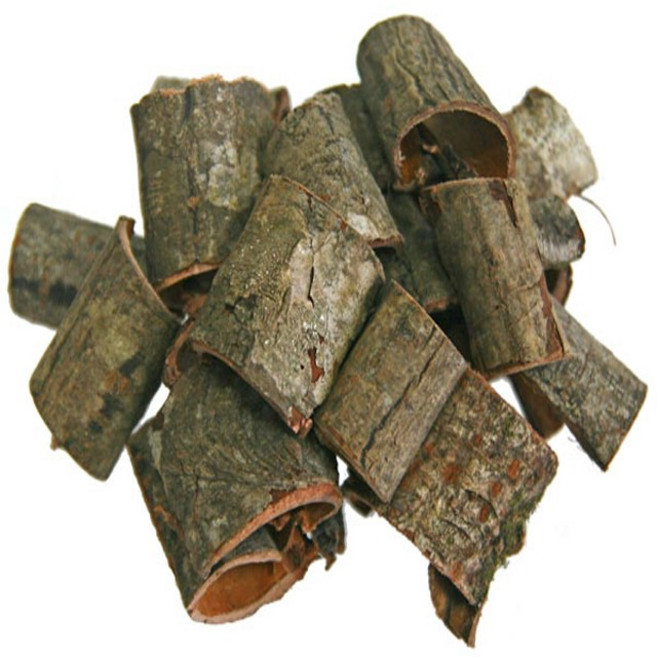 지리산한방식품 야생 벌나무껍질(산청목) 건조300g/동의보감촌 지리산약초 전문, 1개, 300g