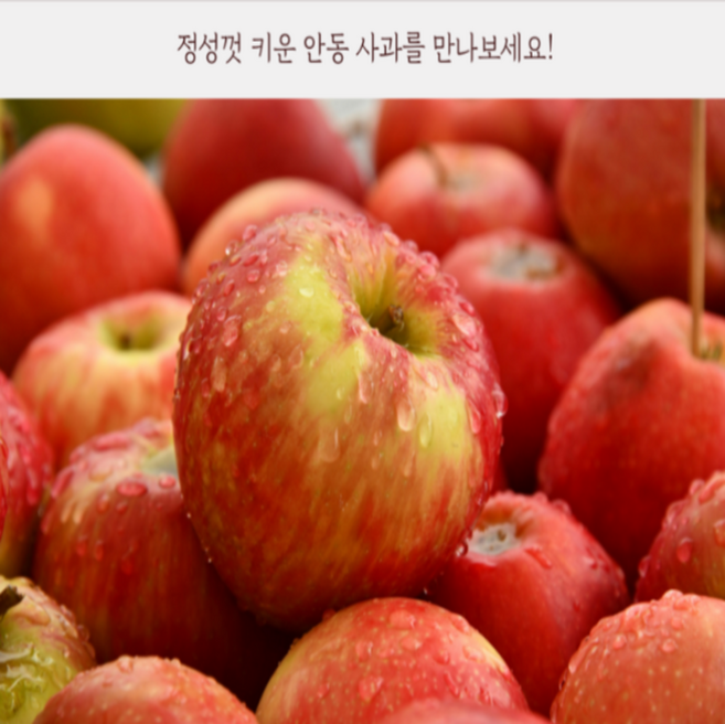 초특가 경북사과 못난이, 1개, 5kg 경북부사사과 가정용 중과(15~24개)