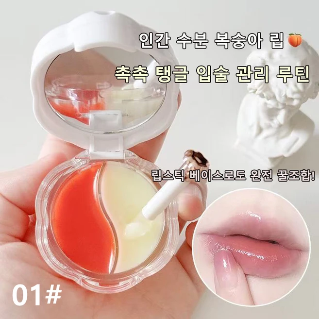 립 마스크 립밤추천 입술건조 데이 앤 나이트 듀얼 립케어 마스크, 2개, 12g, 02 - 쿠팡