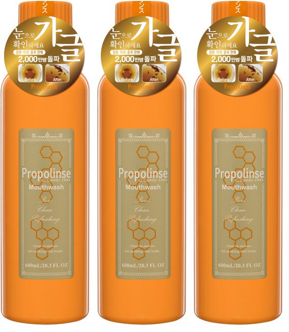 프로폴린스 프로 찌꺼기 가글 구강청결제, 600ml, 3개