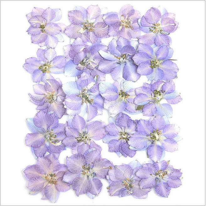 프레스코21 압화 꽃송이 락스퍼(바이올렛 복합/자연)