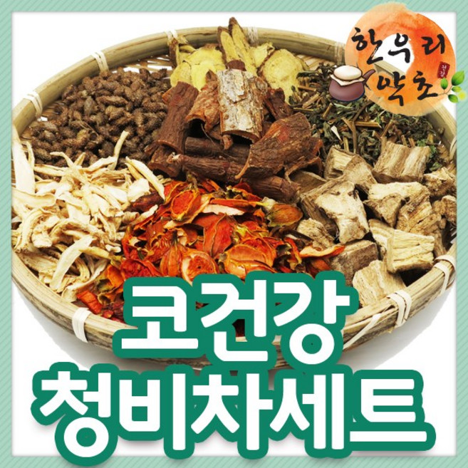 우리가족차 한우리쌍화 청비차 오자차 강골차 헛개차 황기맥문동차, 청음차1600g, 1개