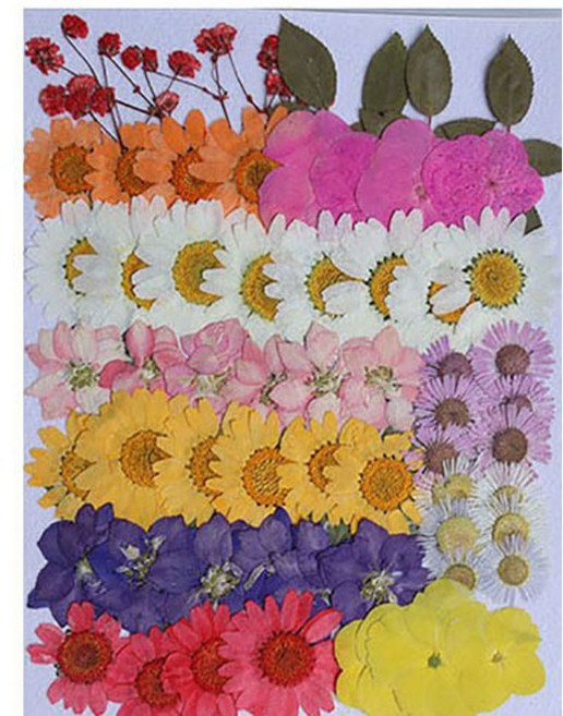 압화 누름꽃 압화공예, AET102