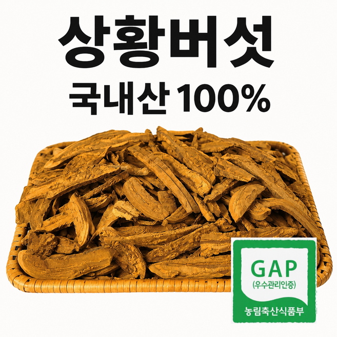 천생산 상황버섯 2년산 최상품. 직접재배. 우수 농산물 GAP 인증, 1박스, 50g