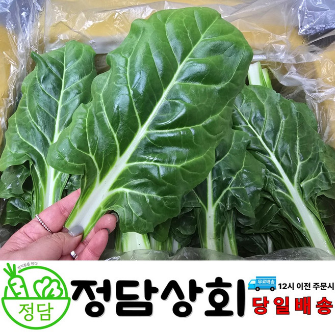 [ 정담상회 ] 국내산 근대 1kg 2kg 4kg 내외 쌈채소 스무디용, 1박스