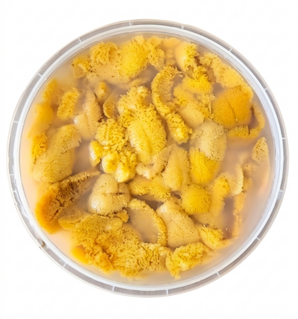 [산지직송] 새벽수확 당일배송 국내산 자연산 통영.여수 최고급 생 성게알 우니 100g 재철요리 선물용 가정용, 1세트, 새벽수확 통영.여수 최고급 생 성게알 우니 100g