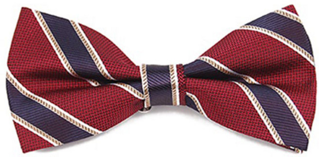 RV001 사선레드네이비 나비넥타이 보타이 정장 캐쥬얼 남자악세사리 자동넥타이