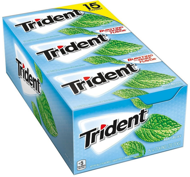 트라이덴트 무설탕 껌 자일리톨 민트 블리스, 1박스, 453g
