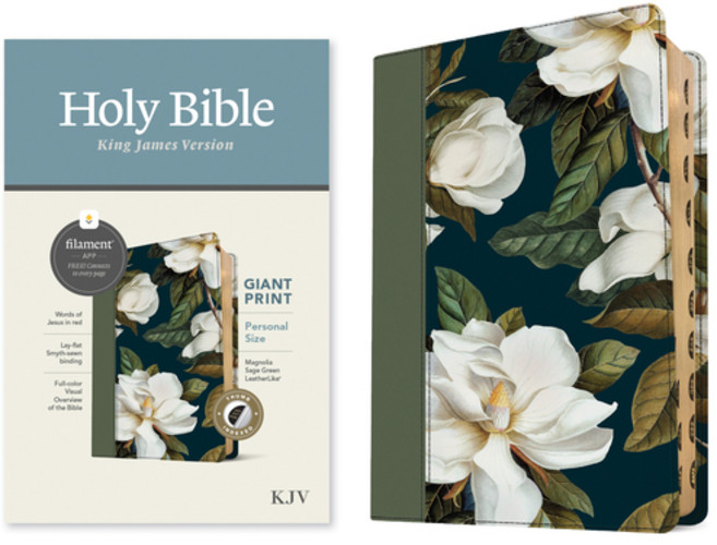 (영문도서) KJV Personal Size Giant Print Bible Filament-Enabled Edition (Leatherlike Magnolia Sage Gre... Imitation Leather, Tyndale House Publishers, English, 9781496480095