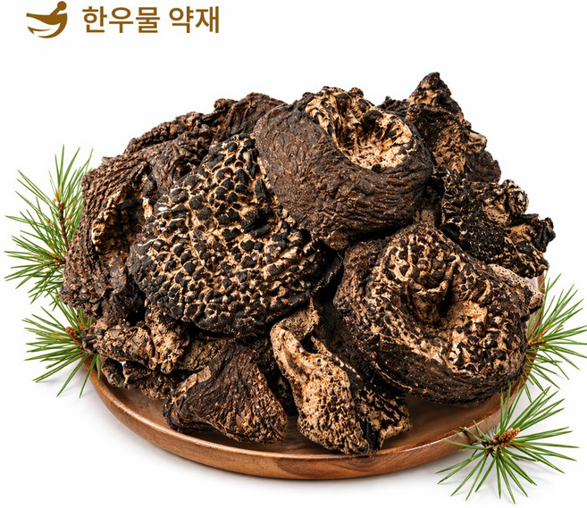 한우물 약재 자연산 건조 능이버섯 고급 식재료, 1개, 40g