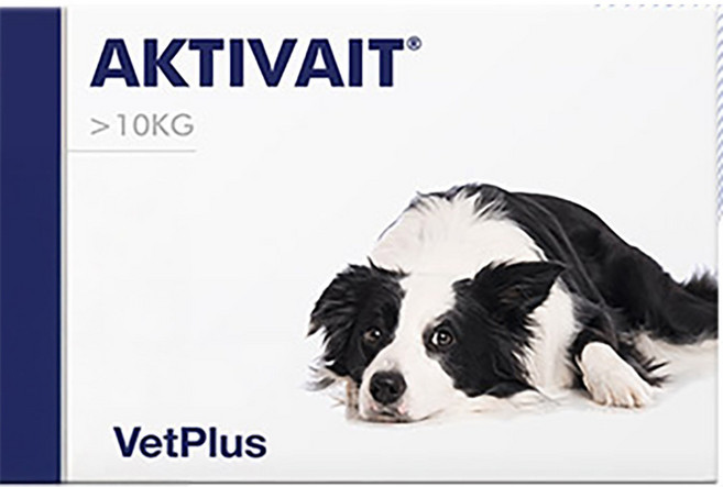 벳플러스 액티베이트 중대형견 미디움 라지 강아지 독 영양제 60캡슐 두뇌 항산화제, 60회분, 면역/항산화, 1개