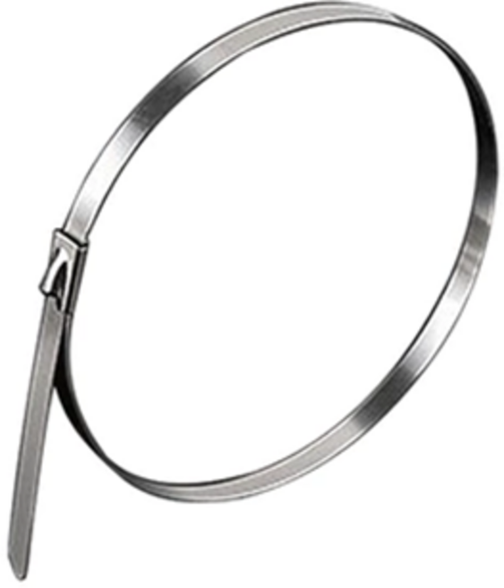 曼徳旺 扎帶 綁 緊固 水電 水管 電線 管路 304束帶, 1個, 不鏽鋼扎帶4.6*700mm, 銀色